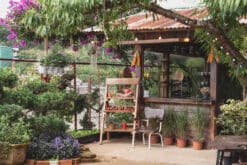 NHÀ CỦA NỘI 45 Ankroet