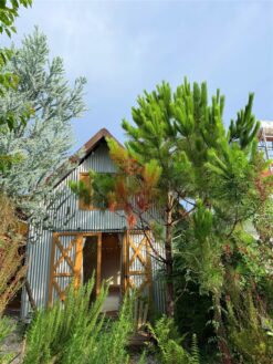 Pampas House